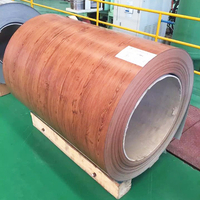 建築用彩色塗層鋼捲木紋裝飾牆/電梯